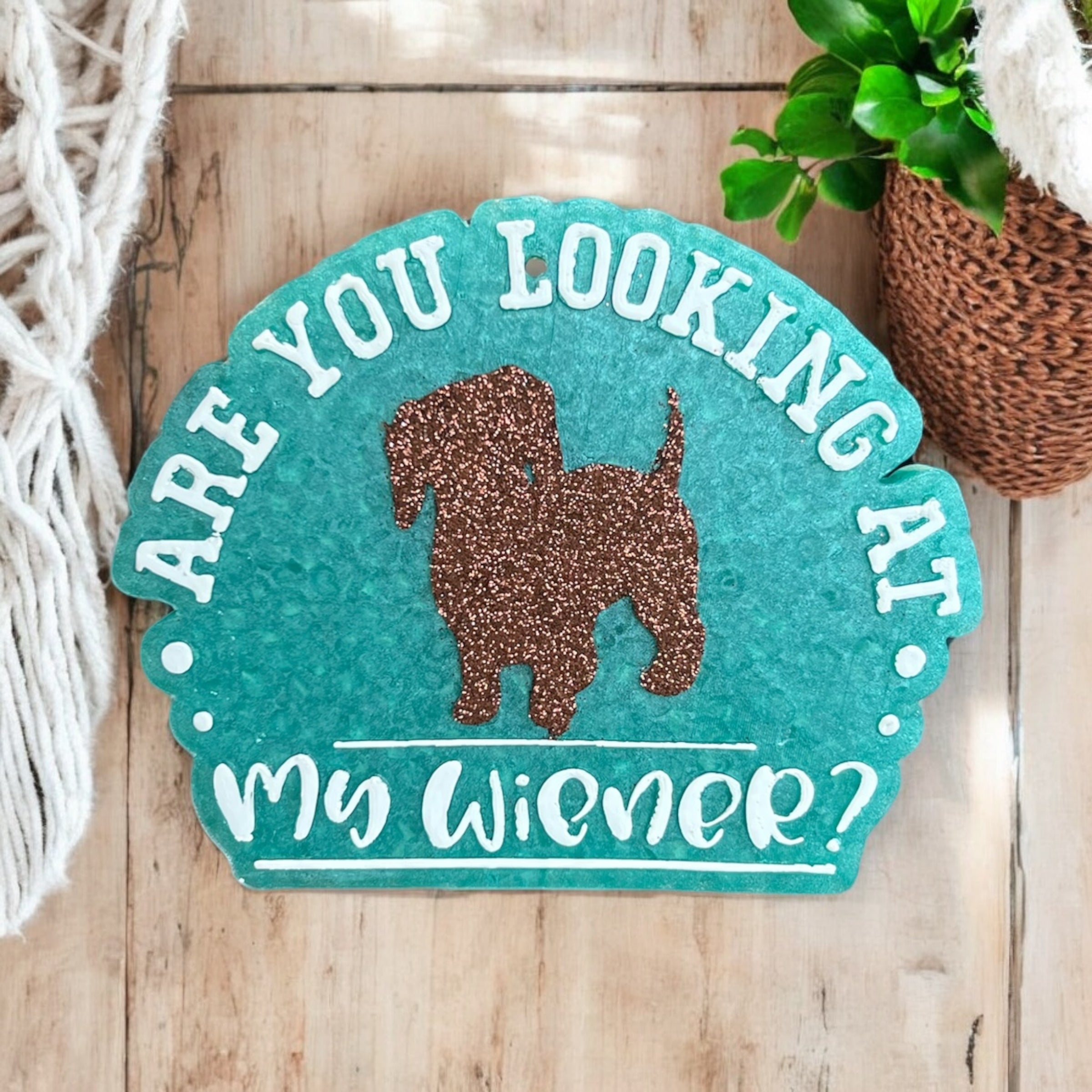 Are You Looking Freshie