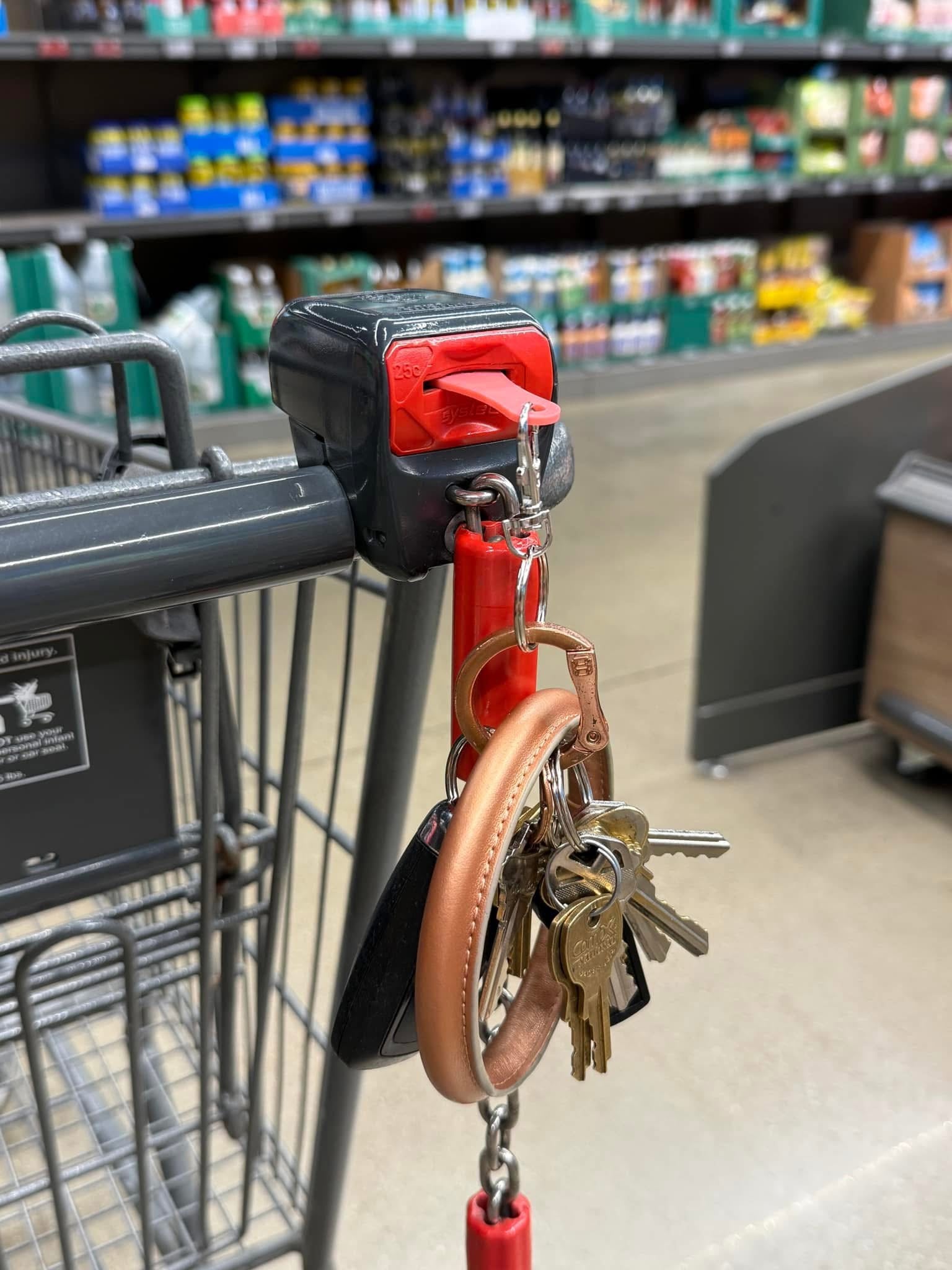Cart Coin Fob