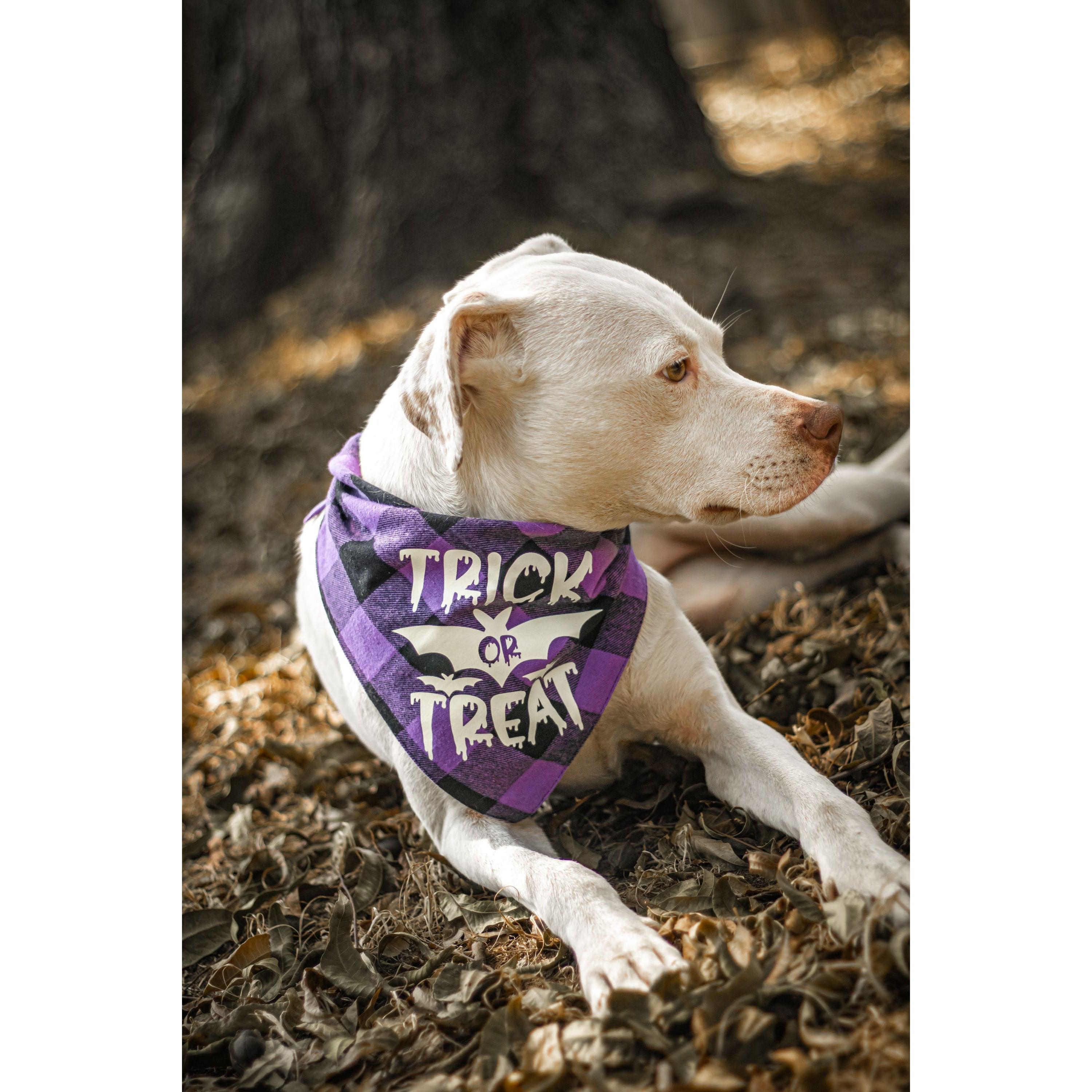 Halloween Dog Triangle Collar/Scarf*