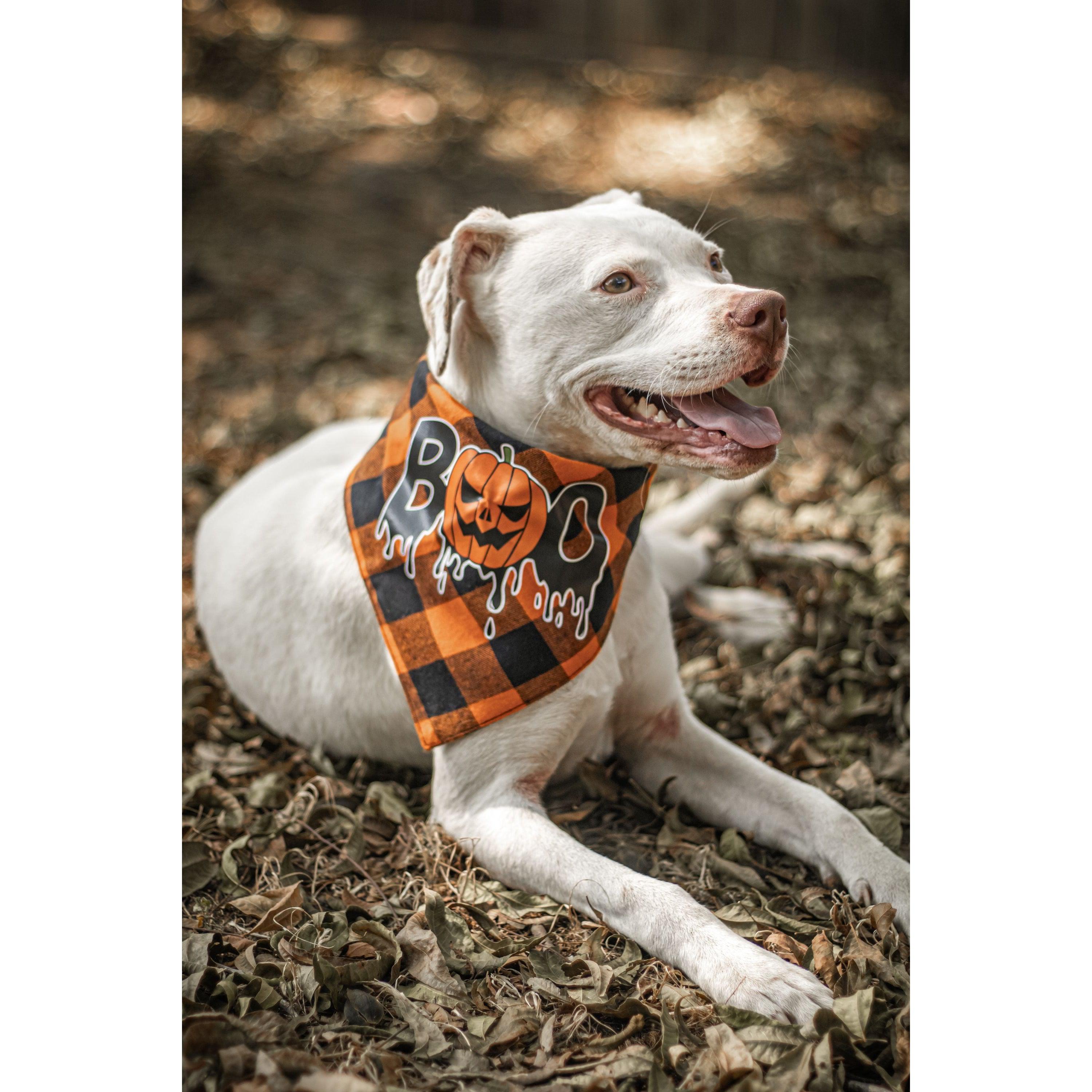Halloween Dog Triangle Collar/Scarf*