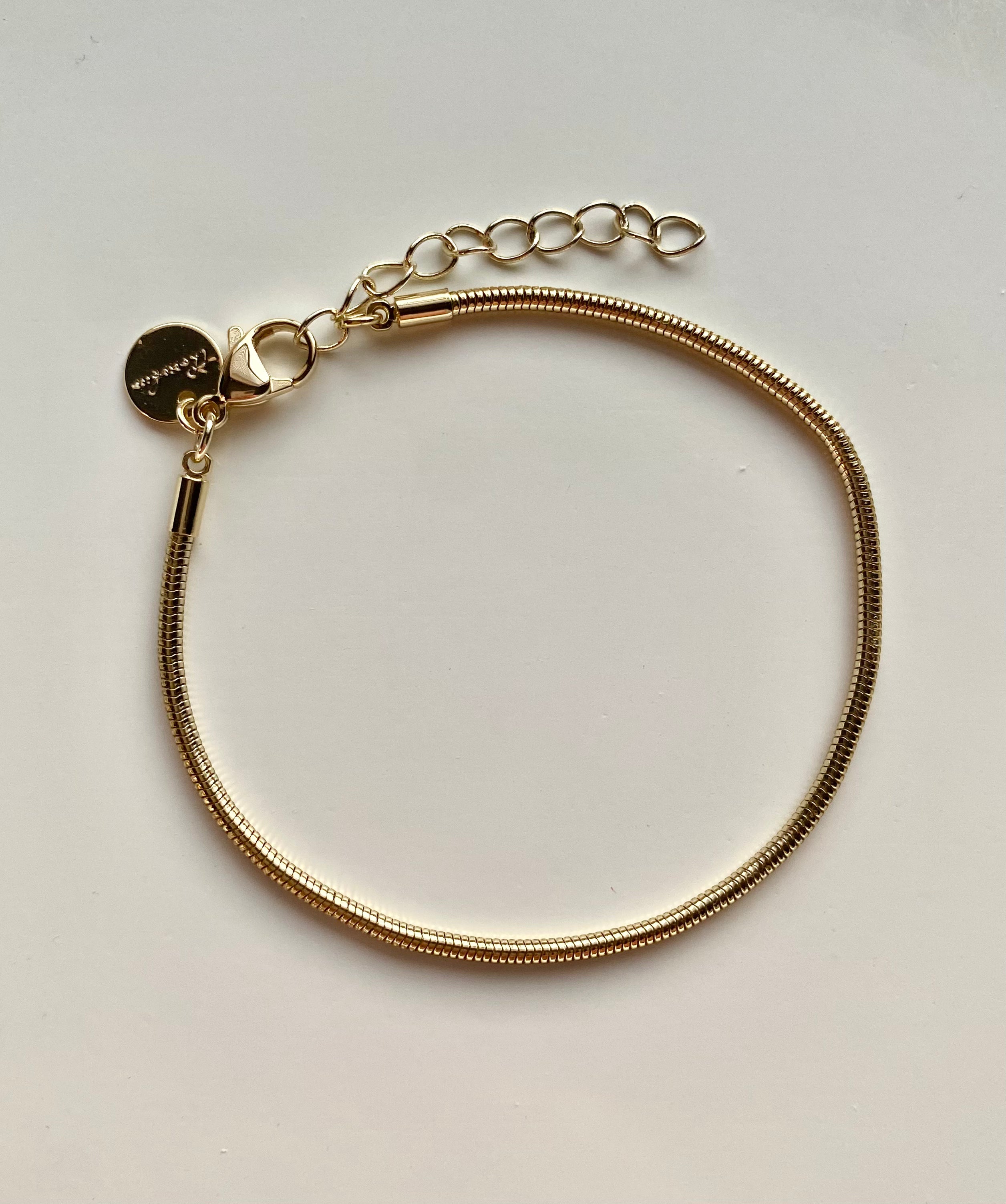 Sophia Snake Chain Bracelet