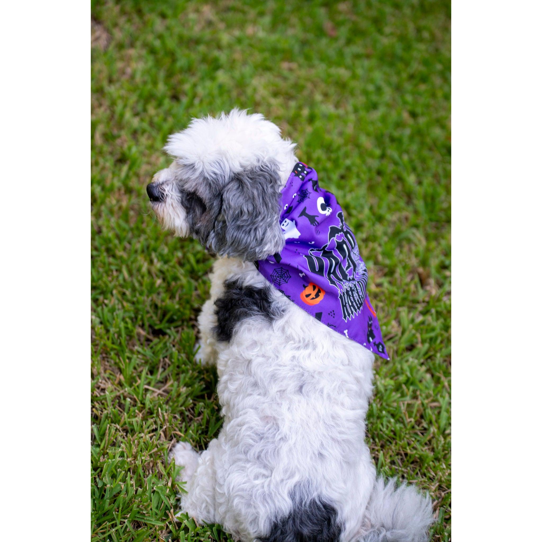 Halloween Dog Triangle Collar/Scarf*