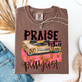 Praise Is My Playlist Graphic Tee
