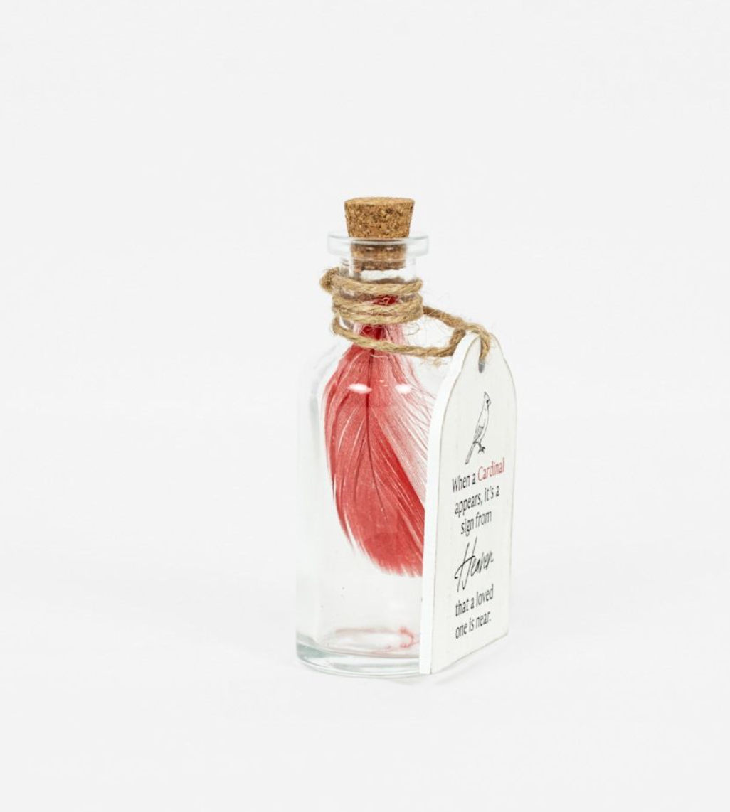Cardinal Message in a Bottle