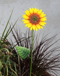 26' Sunflower Stake