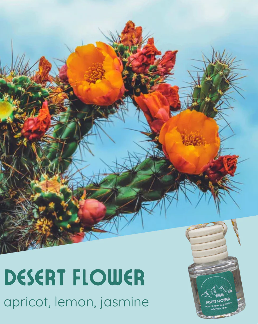 Whiffin' It Fragrance Fresheners